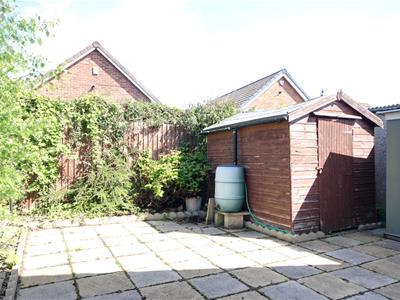 Picture 13